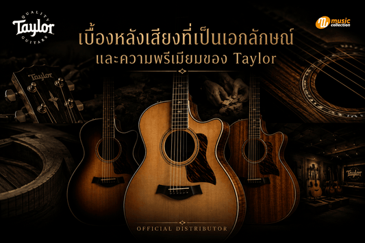 เบื้องหลังเสียงที่เป็นเอกลักษณ์และความพรีเมียมของ Taylor ตั้งแต่วัสดุจนถึงหน้าร้าน Official Distributor