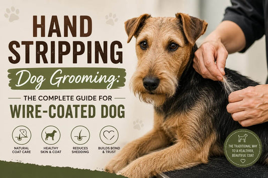 Hand Stripping Dog Grooming: The Complete Guide for Wire-Coated Dogs