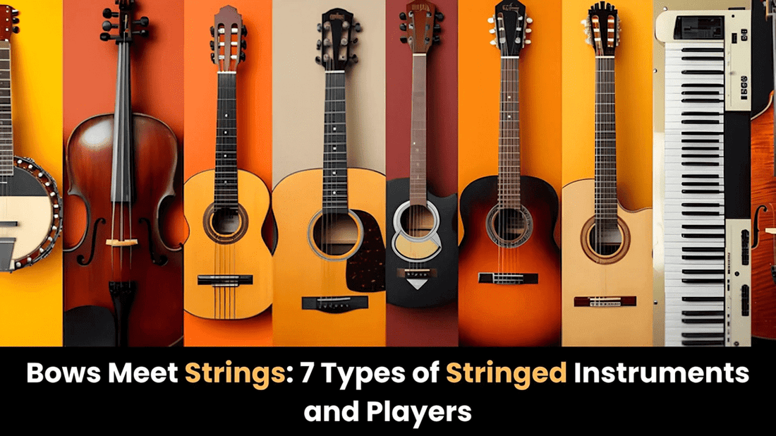 Bows Meet Strings: 7 Types of Stringed Instruments and Players