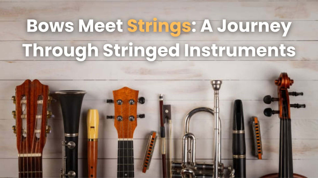 Bows Meet Strings: A Journey Through Stringed Instruments