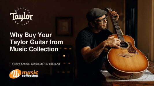 Why Buy Your Taylor Guitar from Music Collection, Taylor's Official Distributor in Thailand